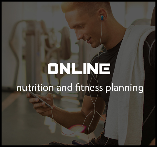 Online nutrition and fitness planning with Lisa Spitzer